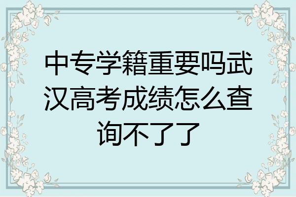 中专学籍重要吗武汉高考成绩怎么查询不了了