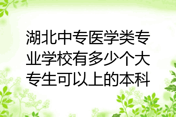 湖北中专医学类专业学校有多少个大专生可以上的本科