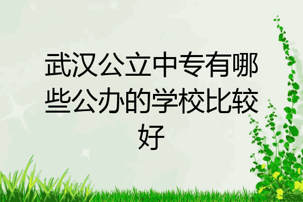 武汉公立中专有哪些公办的学校比较好