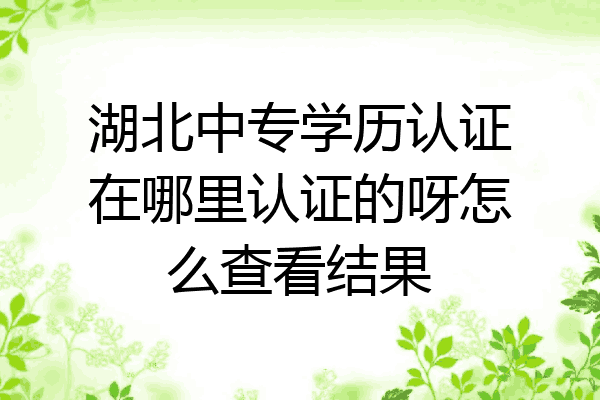 湖北中专学历认证在哪里认证的呀怎么查看结果