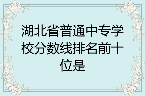 湖北省普通中专学校分数线排名前十位是