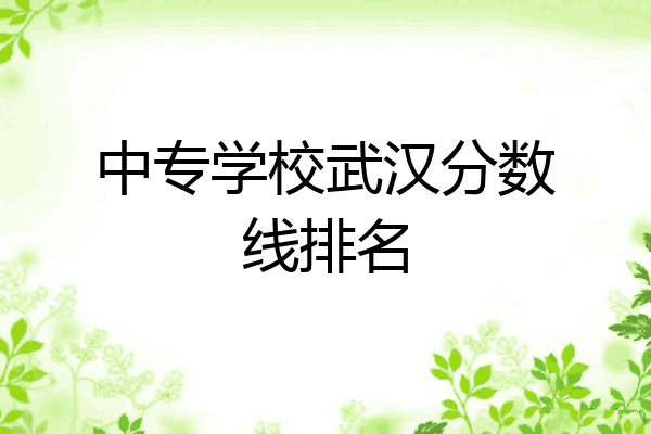 中专学校武汉分数线排名