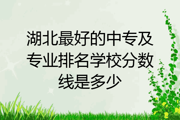 湖北最好的中专及专业排名学校分数线是多少