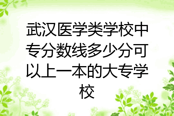 武汉医学类学校中专分数线多少分可以上一本的大专学校
