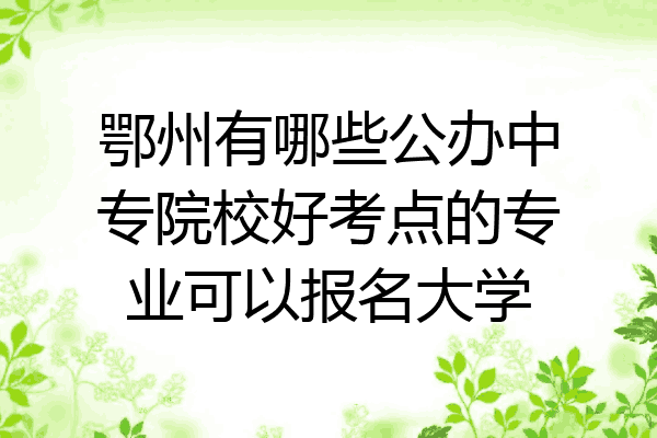 鄂州有哪些公办中专院校好考点的专业可以报名大学