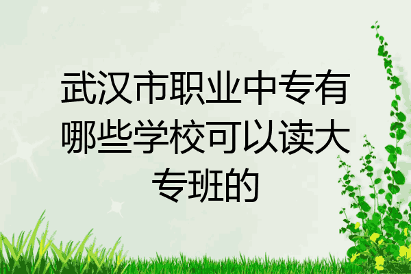 武汉市职业中专有哪些学校可以读大专班的