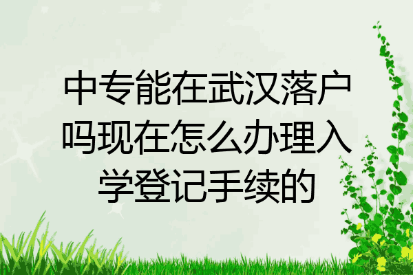 中专能在武汉落户吗现在怎么办理入学登记手续的