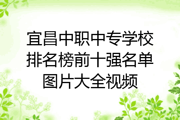 宜昌中职中专学校排名榜前十强名单图片大全视频