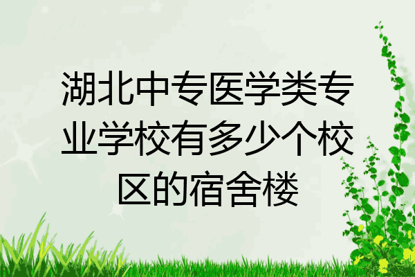 湖北中专医学类专业学校有多少个校区的宿舍楼
