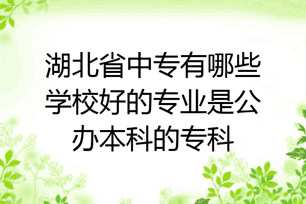 湖北省中专有哪些学校好的专业是公办本科的专科