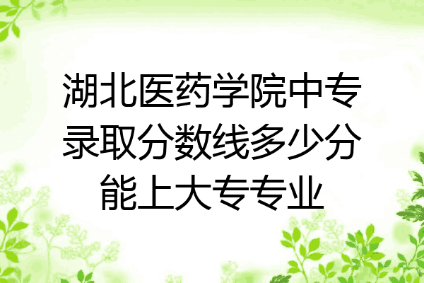 湖北医药学院中专录取分数线多少分能上大专专业
