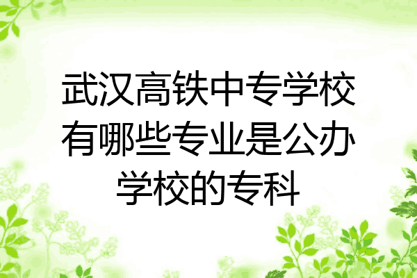 武汉高铁中专学校有哪些专业是公办学校的专科