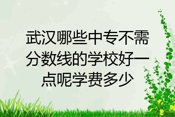 武汉哪些中专不需分数线的学校好一点呢学费多少