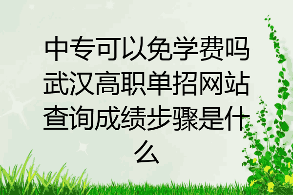 中专可以免学费吗武汉高职单招网站查询成绩步骤是什么