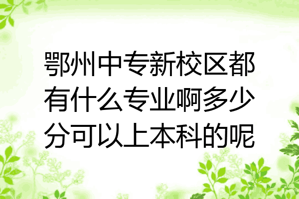 鄂州中专新校区都有什么专业啊多少分可以上本科的呢