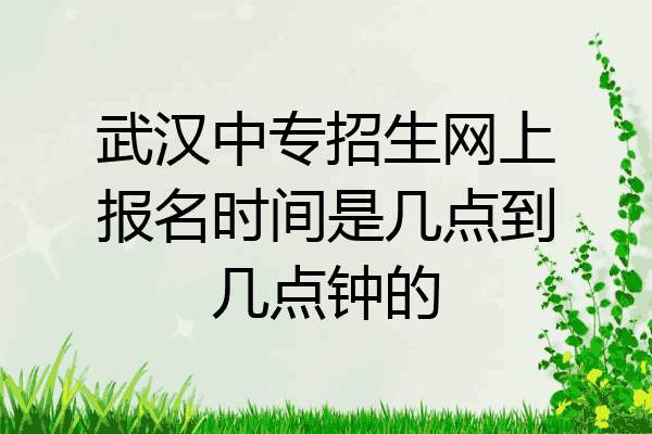 武汉中专招生网上报名时间是几点到几点钟的