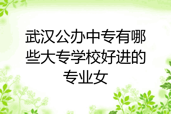 武汉公办中专有哪些大专学校好进的专业女