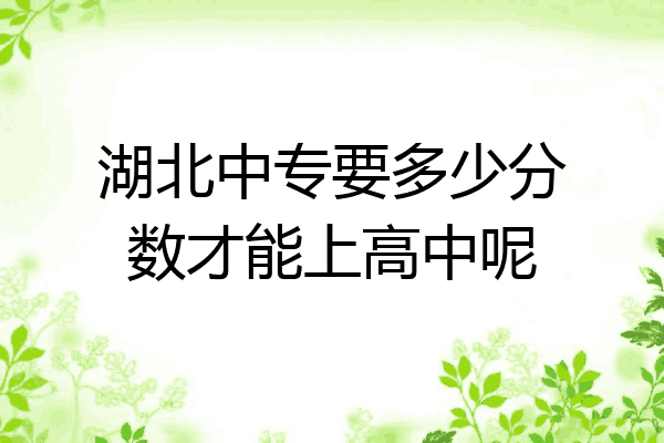 湖北中专要多少分数才能上高中呢