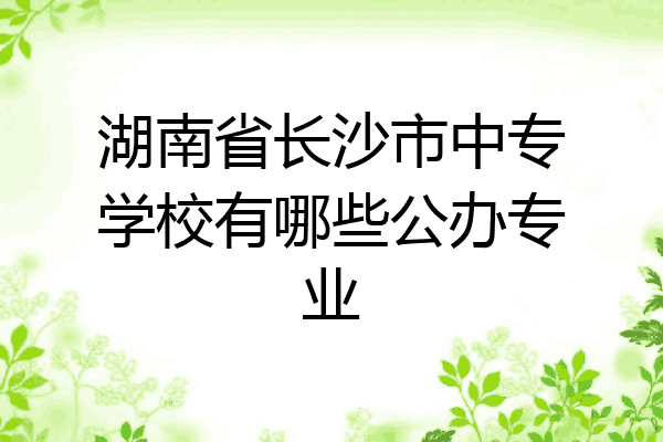 湖南省长沙市中专学校有哪些公办专业