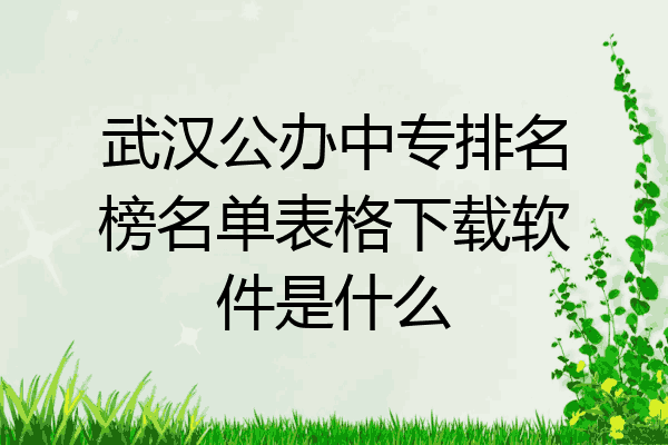 武汉公办中专排名榜名单表格下载软件是什么
