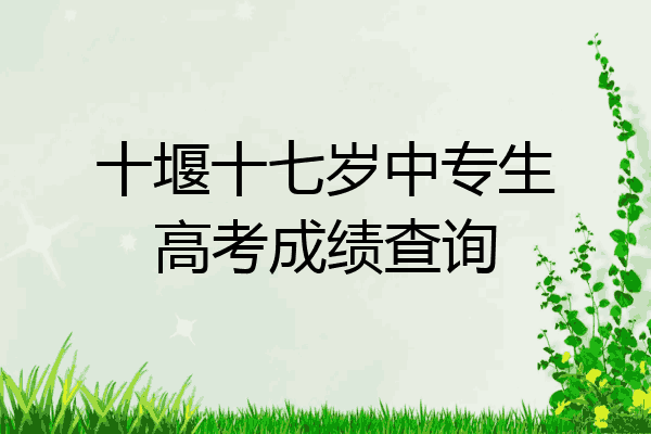 十堰十七岁中专生高考成绩查询