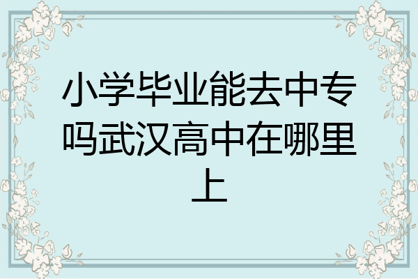 小学毕业能去中专吗武汉高中在哪里上