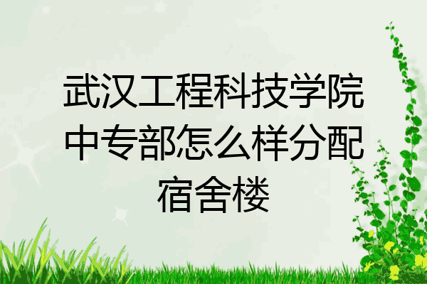武汉工程科技学院中专部怎么样分配宿舍楼