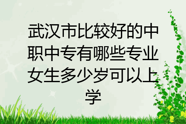 武汉市比较好的中职中专有哪些专业女生多少岁可以上学