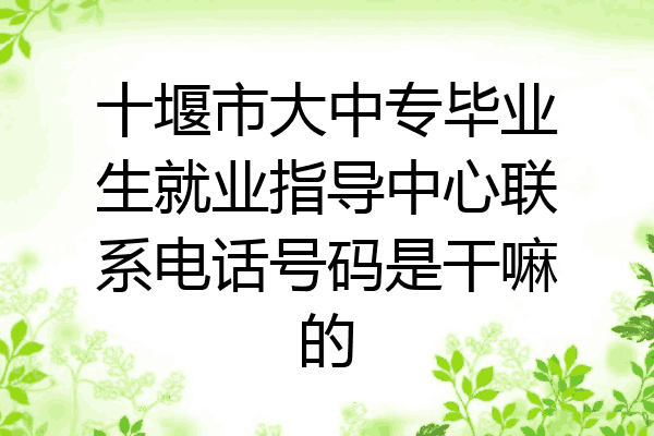 十堰市大中专毕业生就业指导中心联系电话号码是干嘛的