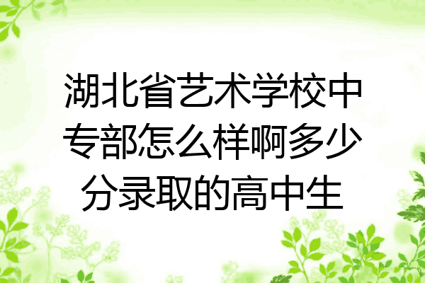 湖北省艺术学校中专部怎么样啊多少分录取的高中生