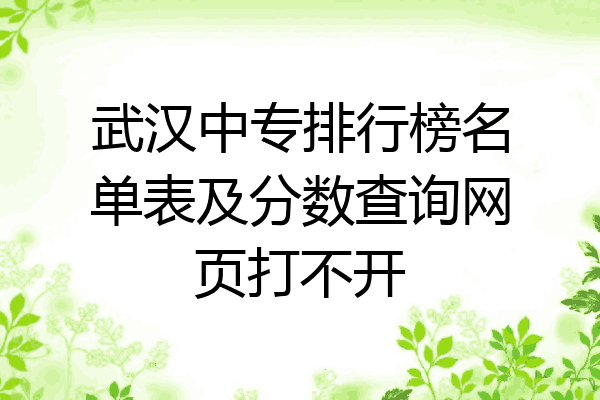 武汉中专排行榜名单表及分数查询网页打不开