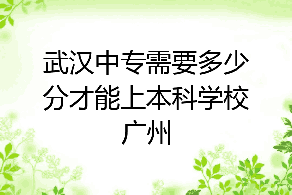 武汉中专需要多少分才能上本科学校广州