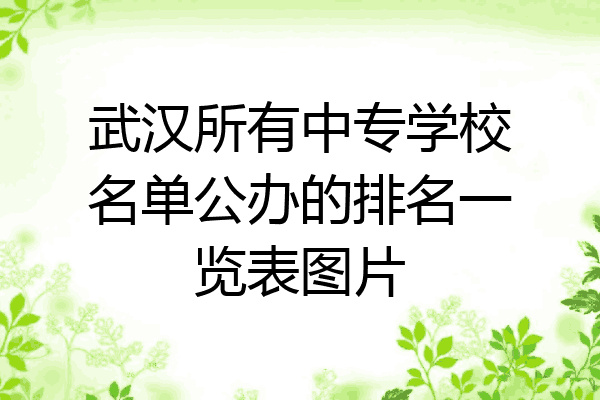 武汉所有中专学校名单公办的排名一览表图片