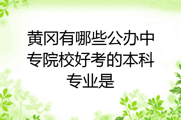 黄冈有哪些公办中专院校好考的本科专业是