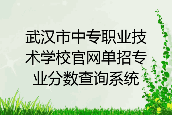 武汉市中专职业技术学校官网单招专业分数查询系统