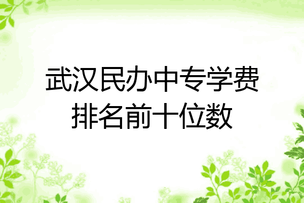 武汉民办中专学费排名前十位数