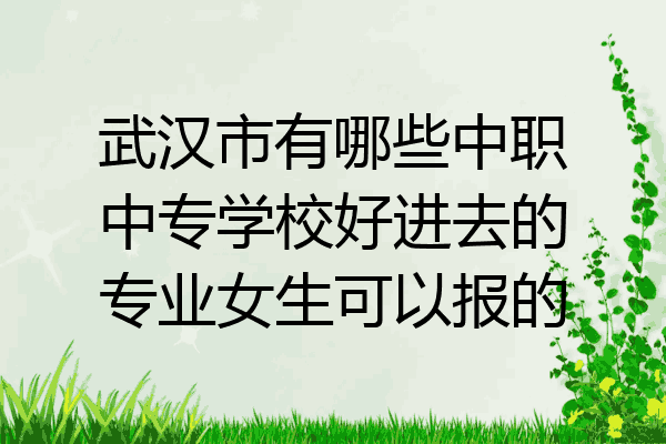 武汉市有哪些中职中专学校好进去的专业女生可以报的