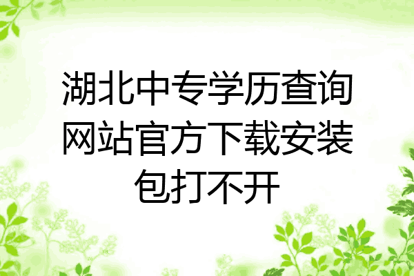 湖北中专学历查询网站官方下载安装包打不开