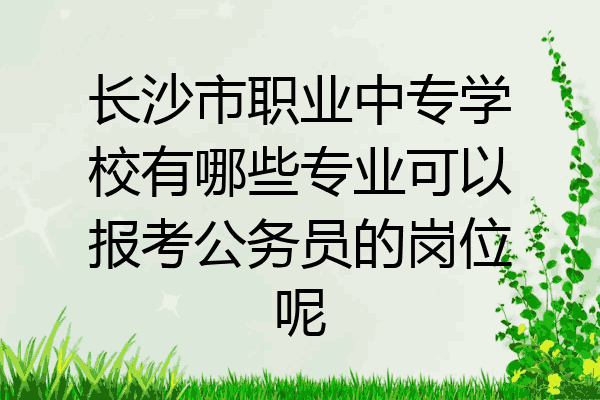 长沙市职业中专学校有哪些专业可以报考公务员的岗位呢