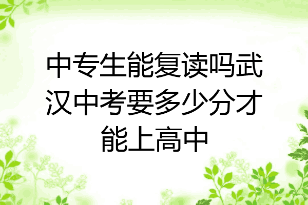 中专生能复读吗武汉中考要多少分才能上高中