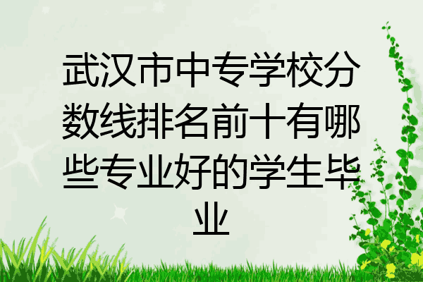 武汉市中专学校分数线排名前十有哪些专业好的学生毕业