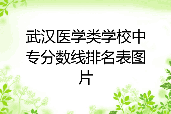 武汉医学类学校中专分数线排名表图片