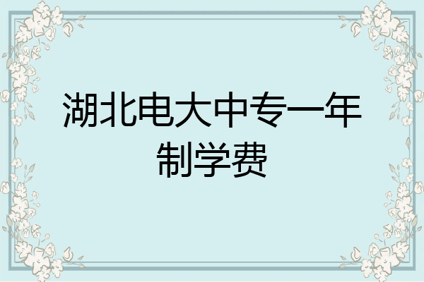 湖北电大中专一年制学费