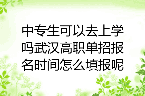 中专生可以去上学吗武汉高职单招报名时间怎么填报呢