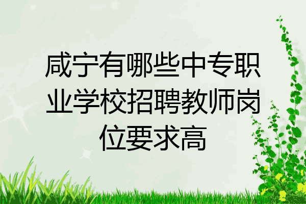 咸宁有哪些中专职业学校招聘教师岗位要求高