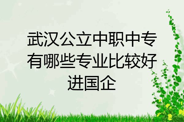 武汉公立中职中专有哪些专业比较好进国企