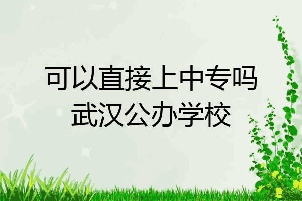 可以直接上中专吗武汉公办学校