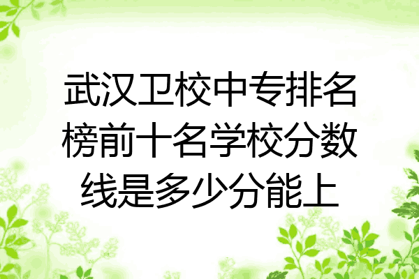 武汉卫校中专排名榜前十名学校分数线是多少分能上