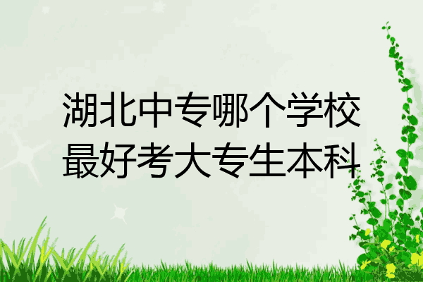 湖北中专哪个学校最好考大专生本科