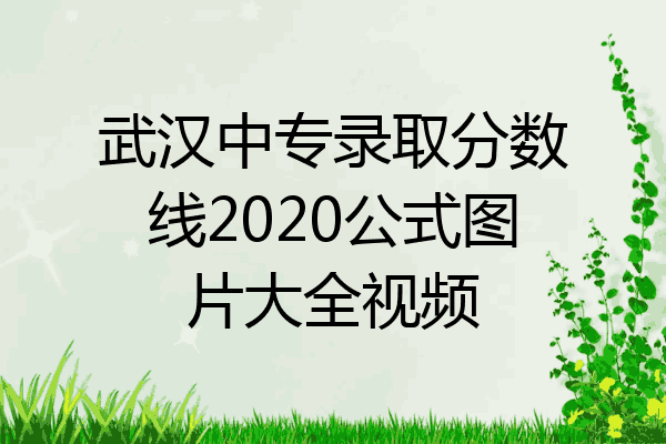 武汉中专录取分数线2020公式图片大全视频